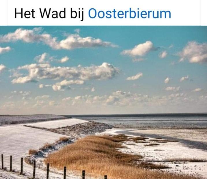 4-Persoons Vakantiehuisje Simmerwille Tzummarum Dış mekan fotoğraf